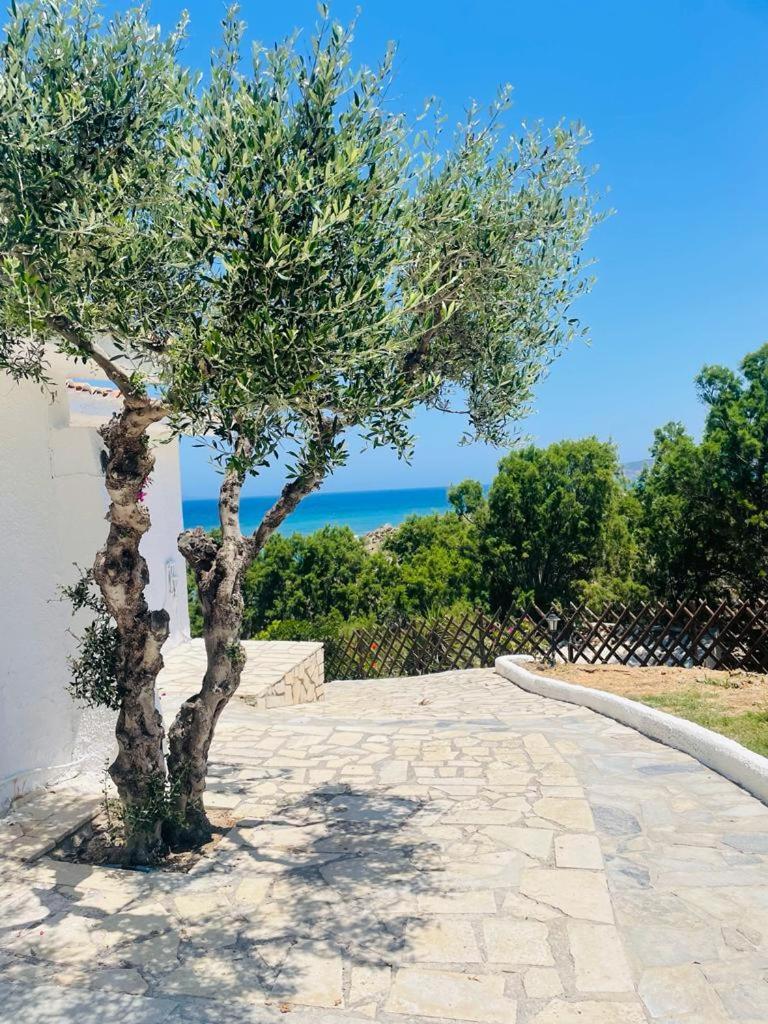 Lassion Golden Bay Sitia  Exterior photo